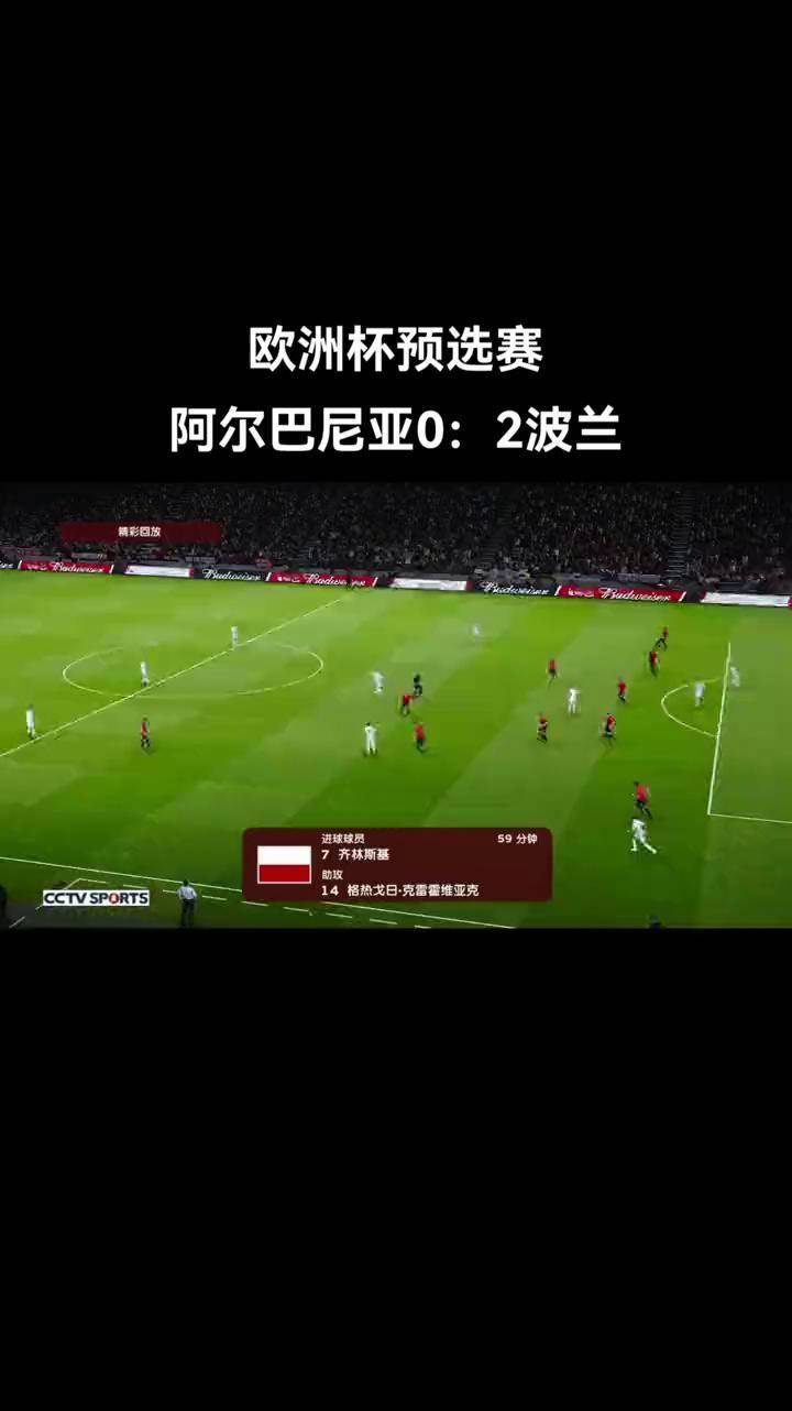 欧洲杯预选赛中，球员表现受瞩目